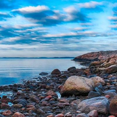 lm体育官网下载